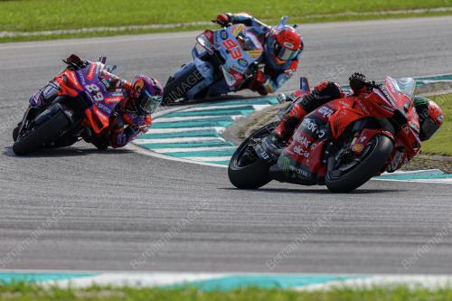 MOTOGP 2024