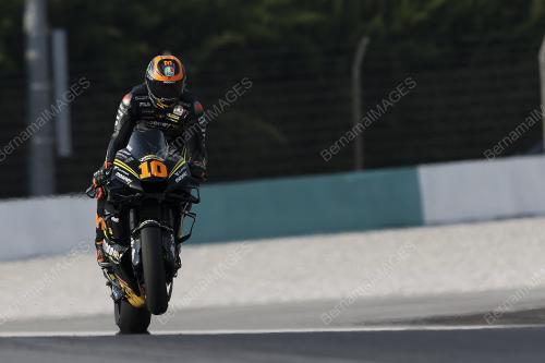 LUCA MARINI