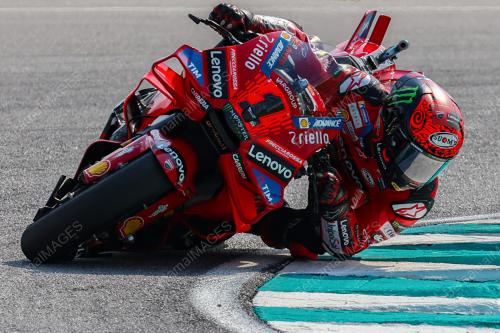MOTOGP 2024