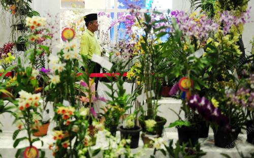 SG51_08122016_BUNGA