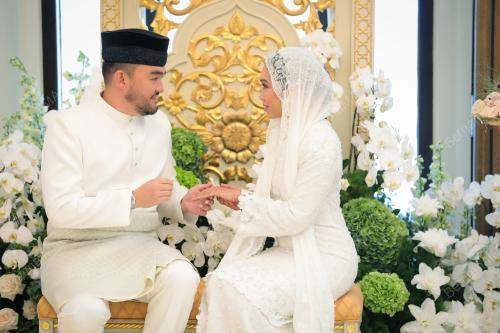 TENGKU AMIR SHAH