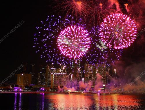 SINGAPOREANS THRONGED MARINA BAY TO USHER IN 2009