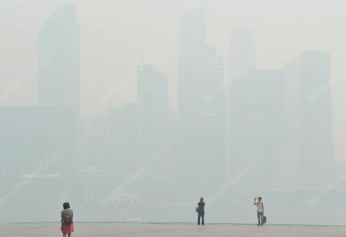 SGP01_19062013_JEREBU_SINGAPURA