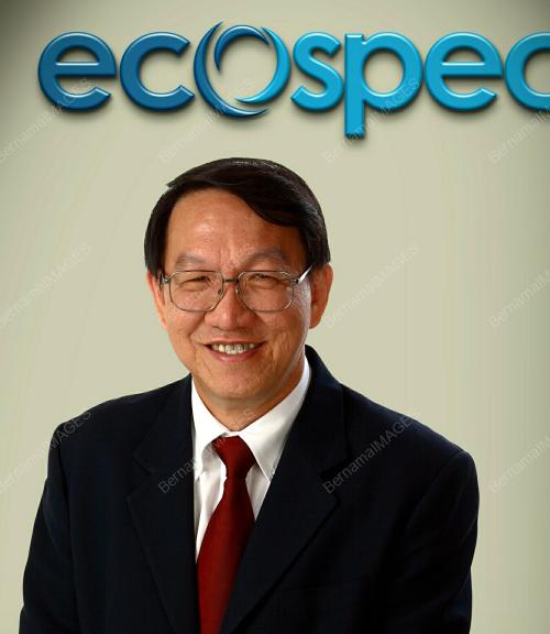 CHEW HWEE HONG