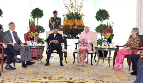 SGP07_20052014_AGONG_LOONG