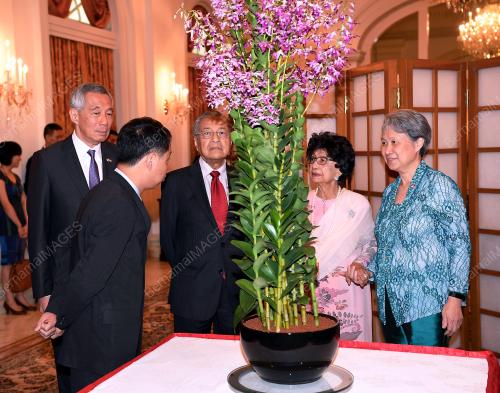 SGP11_12112018_MAHATHIR_LEE