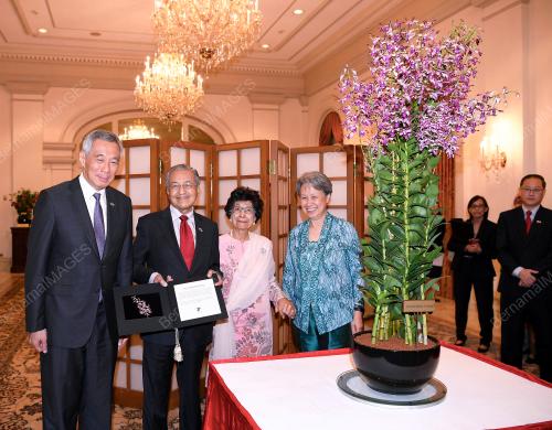SGP12_12112018_MAHATHIR_LEE