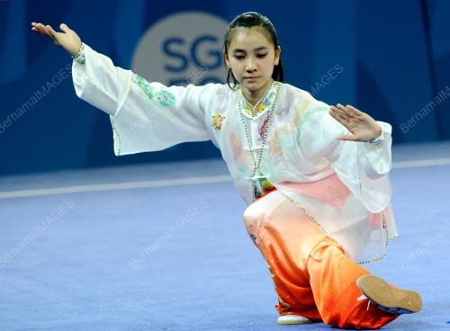 SGP17_06062015_CHAN_LU_YI