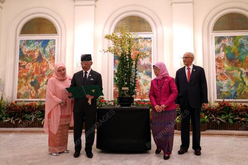 AL-SULTAN ABDULLAH RI'AYATUDDIN AL -MUSTAFA BILLAH SHAH