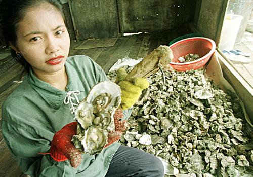 SK01-17_10_2000_OYSTER_GIRL_14012016