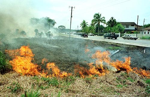 SK01-22_08_2000_BUSHFIRE_12012016