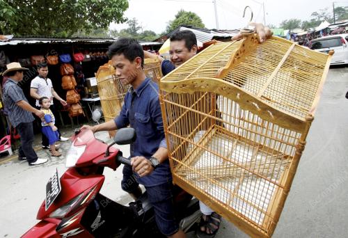 SK01_02032014_AMAN