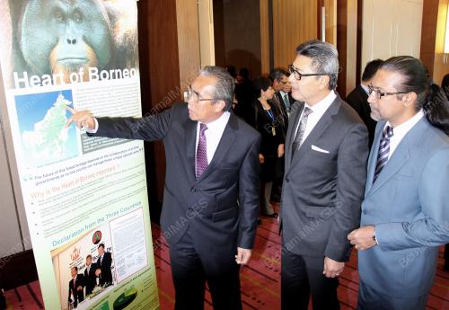 SK01_03112015_HEART_BORNEO