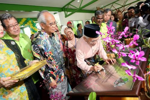 ABDUL TAIB MAHMUD