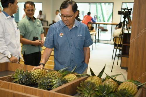 DATUK SERI STEPHEN RUNDI UTOM