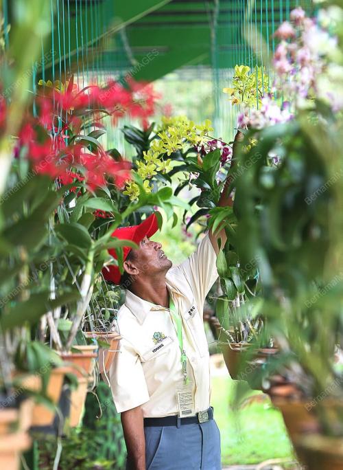 TAMAN ORKID