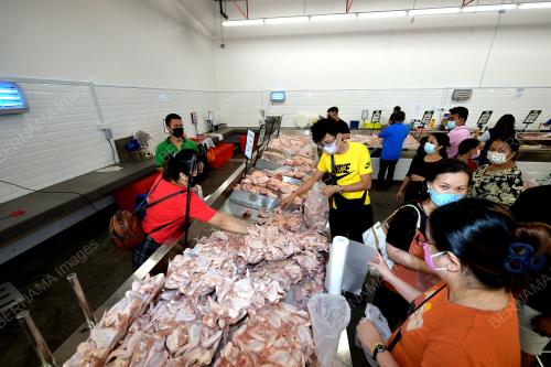 HARGA AYAM