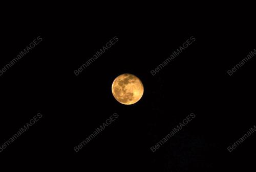 BULAN_RAMADAN