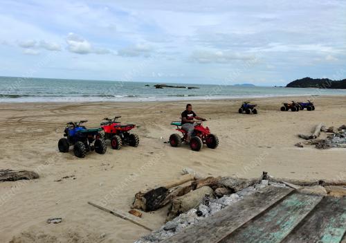 TELOK MELANO