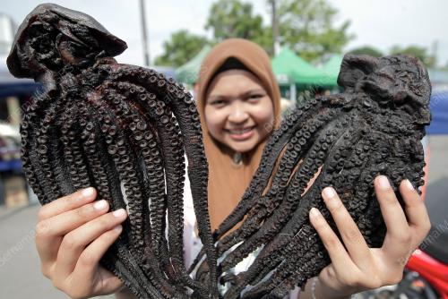 SK01_10112014_SOTONG