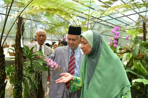 SK01_14032019_TAMAN_ORKID_BN20190316358
