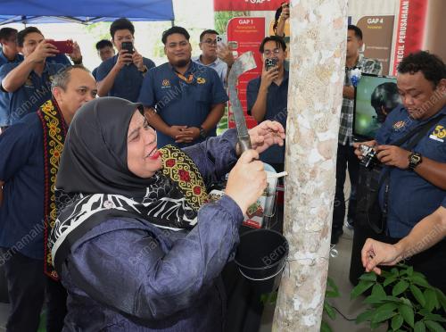 DATUK RUBIAH WANG