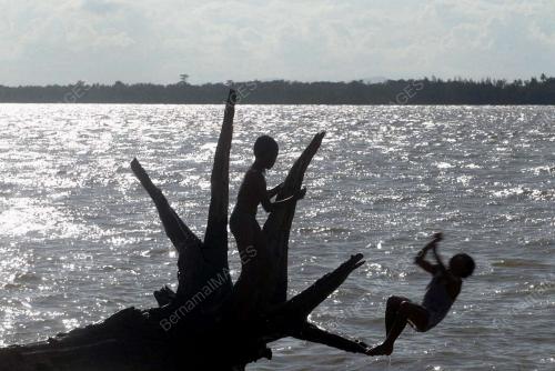 MANDI_LAUT
