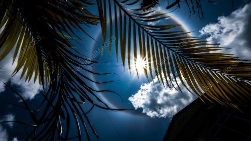 SK01_17022018_HALO