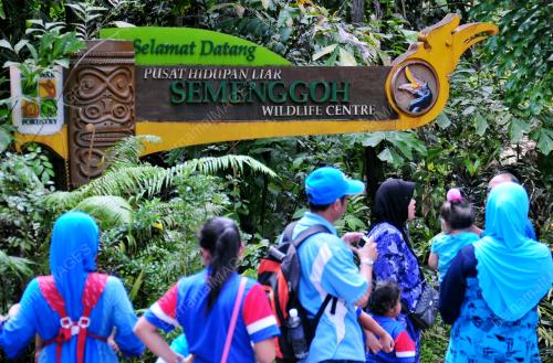 HUTAN SEMENGGOH