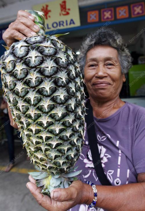 NANAS BESAR