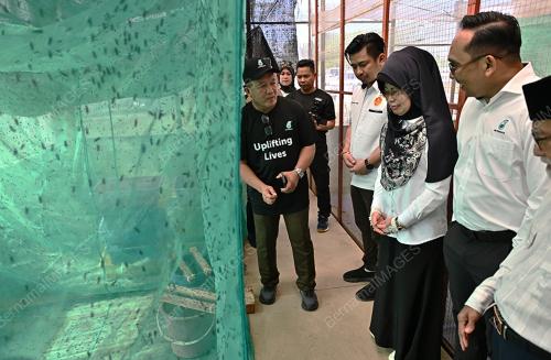 DATUK SERI FATIMAH ABDULLAH