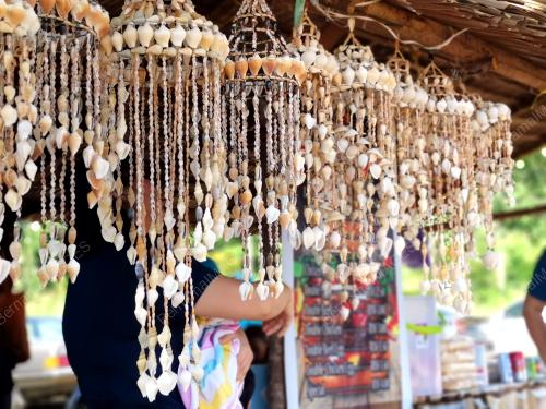 SK01_20062019_HIASAN_KERANG