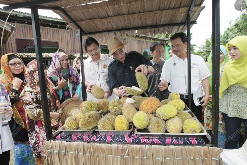 SK01_20122014_HOMESTAY