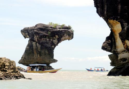 TAMAN NASIONAL BAKO