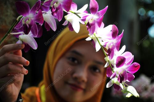 SK01_23082017_ORKID