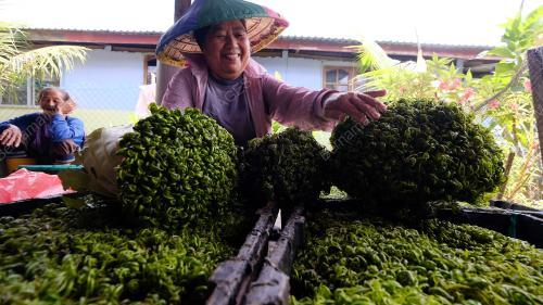 SK01_25062018_SAYUR_MIDIN