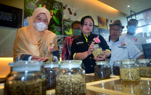 DATUK ZURAIDA KAMARUDDIN