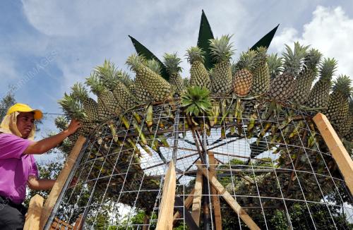 SK01_26112015_NANAS_SARAWAK