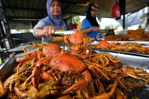 SK01_27012019_KETAM