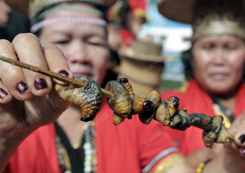 SK01_29062013_ULAT_MULUNG