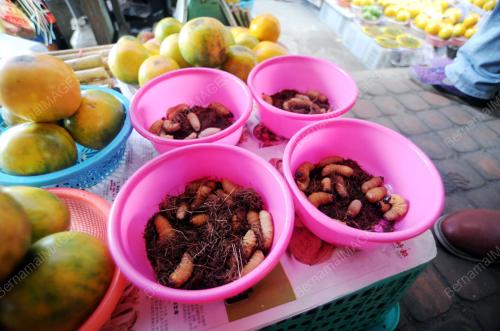 SK01_31122014_PASAR_LACHAU