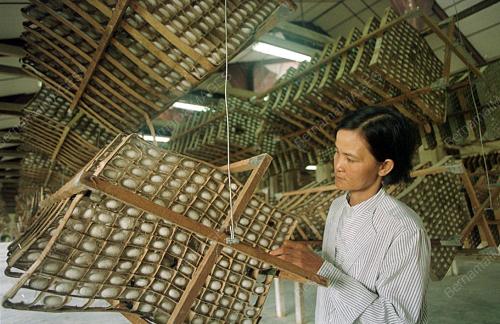 SK02-25_10_2000_SILK_FARM_14012016