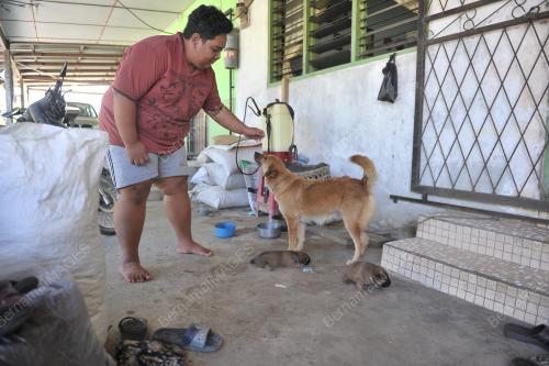 SK02_02072017_ANJING_GILA