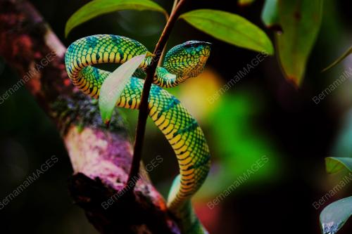 SK02_02082018_ULAR