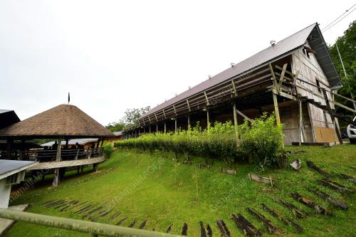 SK02_08062019_TRIBAL_BORNEO_BN201906071544