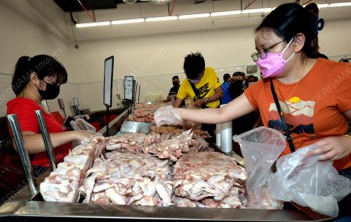 HARGA AYAM