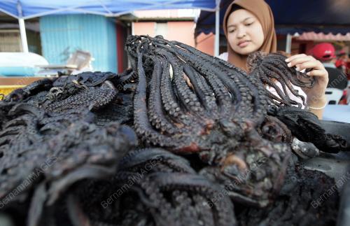 SK02_10112014_SOTONG