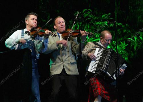FESTIVAL MUZIK