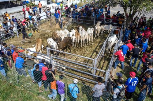 SK02_12082019_KORBAN