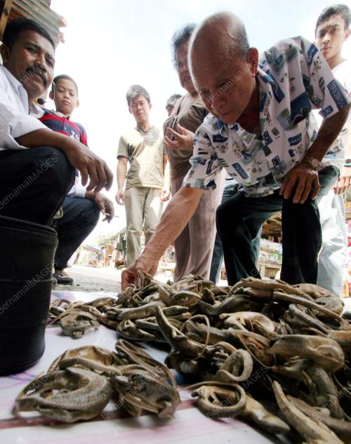 SK02_13012013_PASAR_SERIKIN